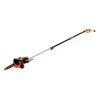 Black & Decker BECSP601 8 Amp 10 In. Corded 2-in-1 Pole Chainsaw