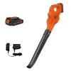 Black & Decker LSW221 20V MAX Lithium-Ion Cordless Sweeper Kit (1.5 Ah) -Black & Decker Sales Shop bdknlsw221 g